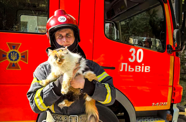 На вулиці Шафарика горіла квартира: ДСНС врятувала трьох людей і двох котів